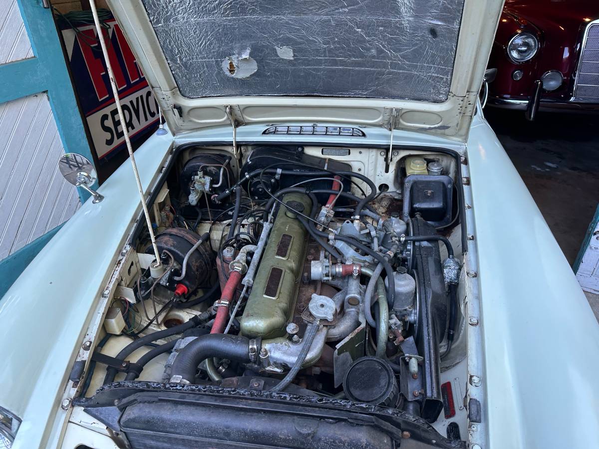 Mgc-ct-1969-white-2