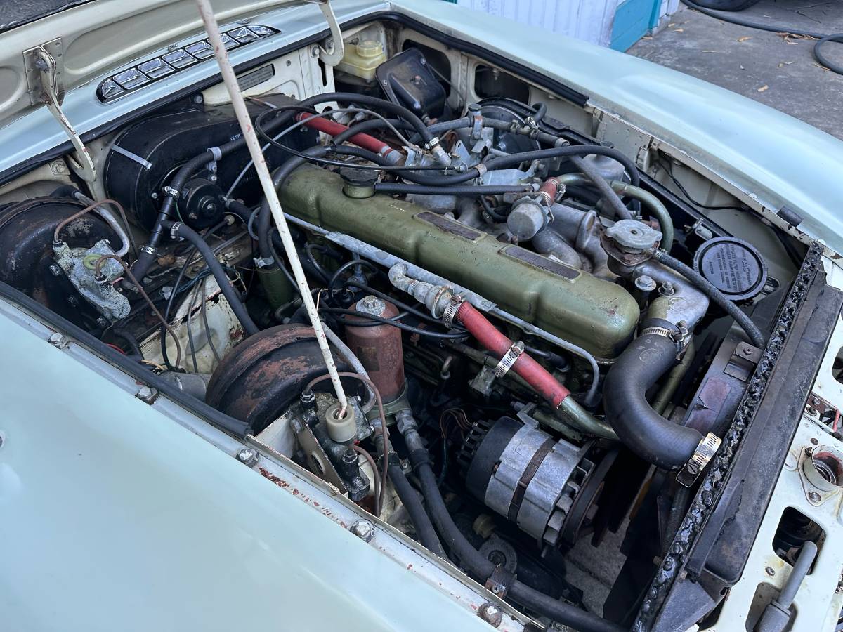 Mgc-ct-1969-white-7