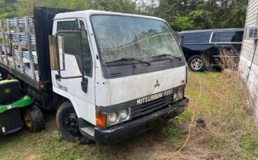 Mitsubishi-diesel-1989-white-4
