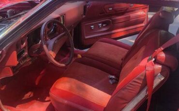 Monte-carlo-1977-red-1