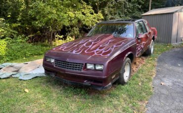 Monte-carlo-ss-1987-custom