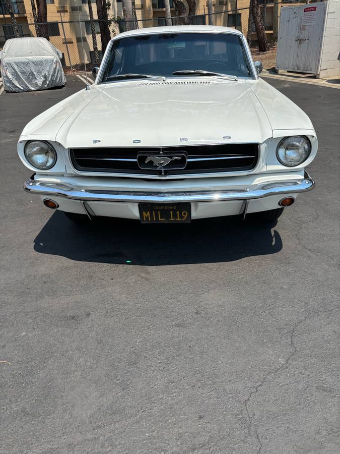 Mustang-1965-white-7