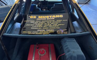 Mustang-1982-14
