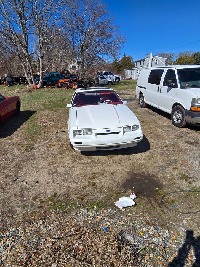 Mustang-gt-1983-white-2