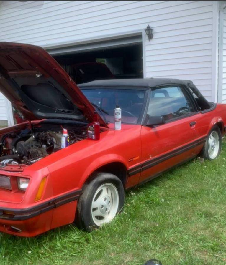 Mustang-gt-turbo-1984-red-5