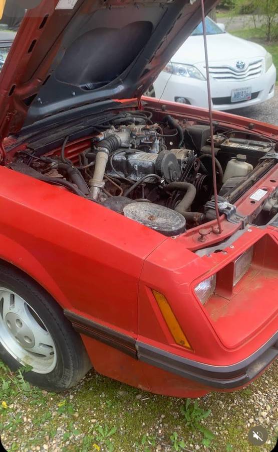 Mustang-gt-turbo-1984-red-9
