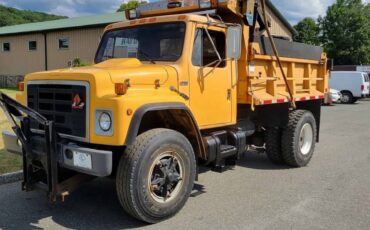 Navistar-1954-cab-68abc-diesel-1989-white-2