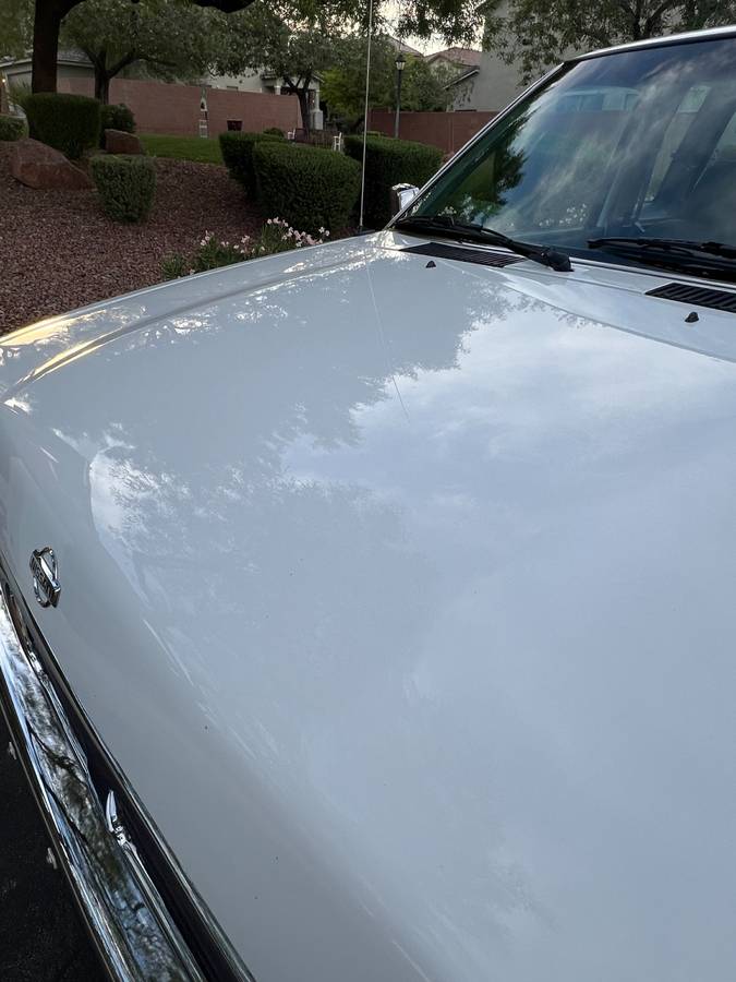 Nissan-d21-hardbody-1994-white-9