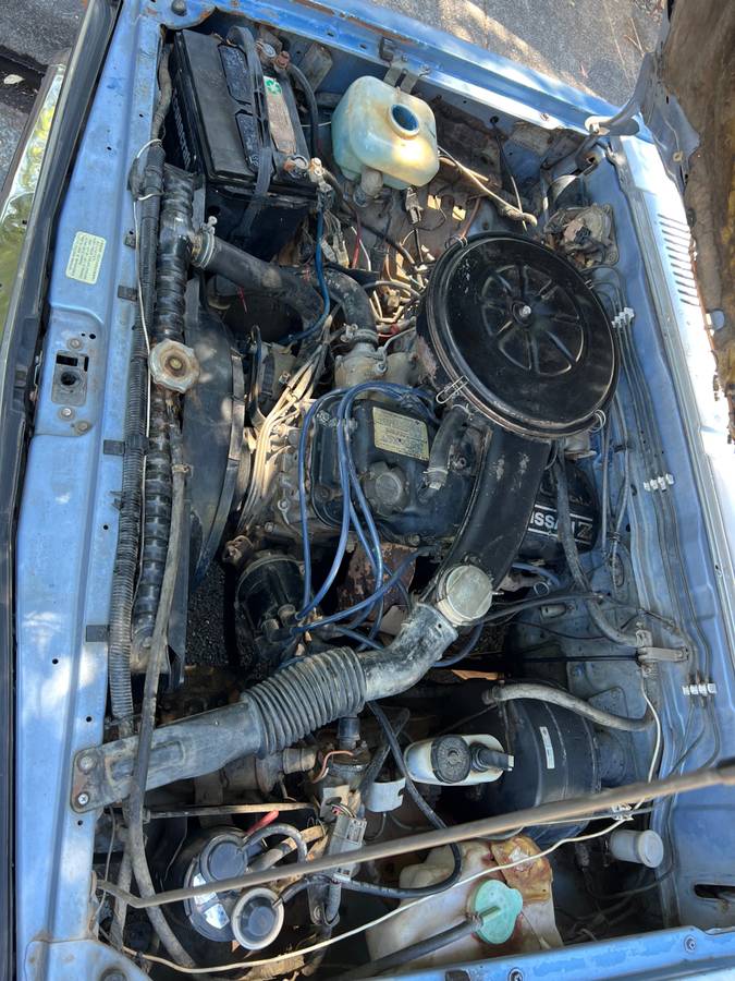Nissan-pickup-1986-blue-6