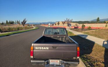 Nissan-pickup-1995-grey-3