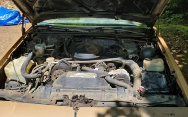 Oldmobile-cutlass-supreme-1987-brown-15
