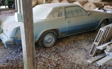 Olds-cutlass-1977-1
