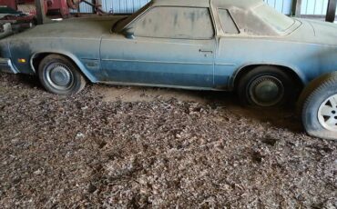 Olds-cutlass-1977