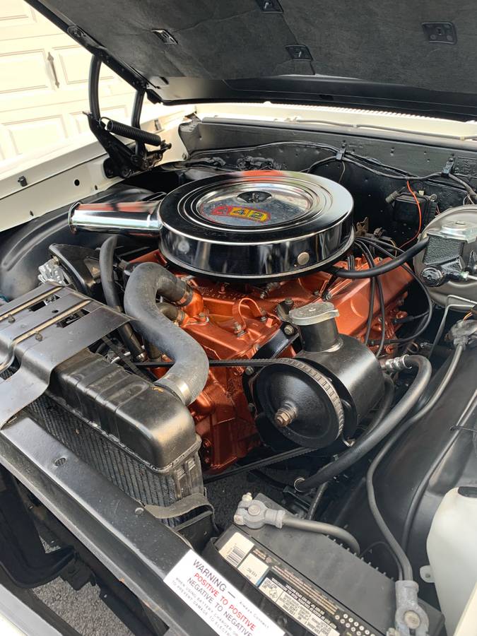 Oldsmobile-442-1965-white-39