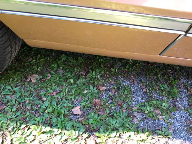 Oldsmobile-442-1966-Sierra-Mist-14