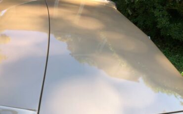 Oldsmobile-442-1966-Sierra-Mist-17