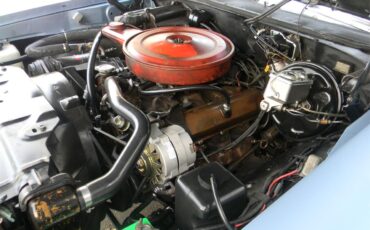 Oldsmobile-442-1969-Blue-Black-42