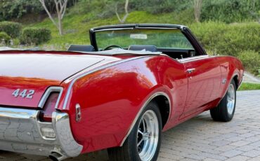 Oldsmobile-442-1969-Convertible-3