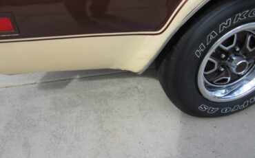 Oldsmobile-442-1977-brown-10