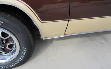 Oldsmobile-442-1977-brown-11