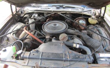 Oldsmobile-442-1977-brown-14