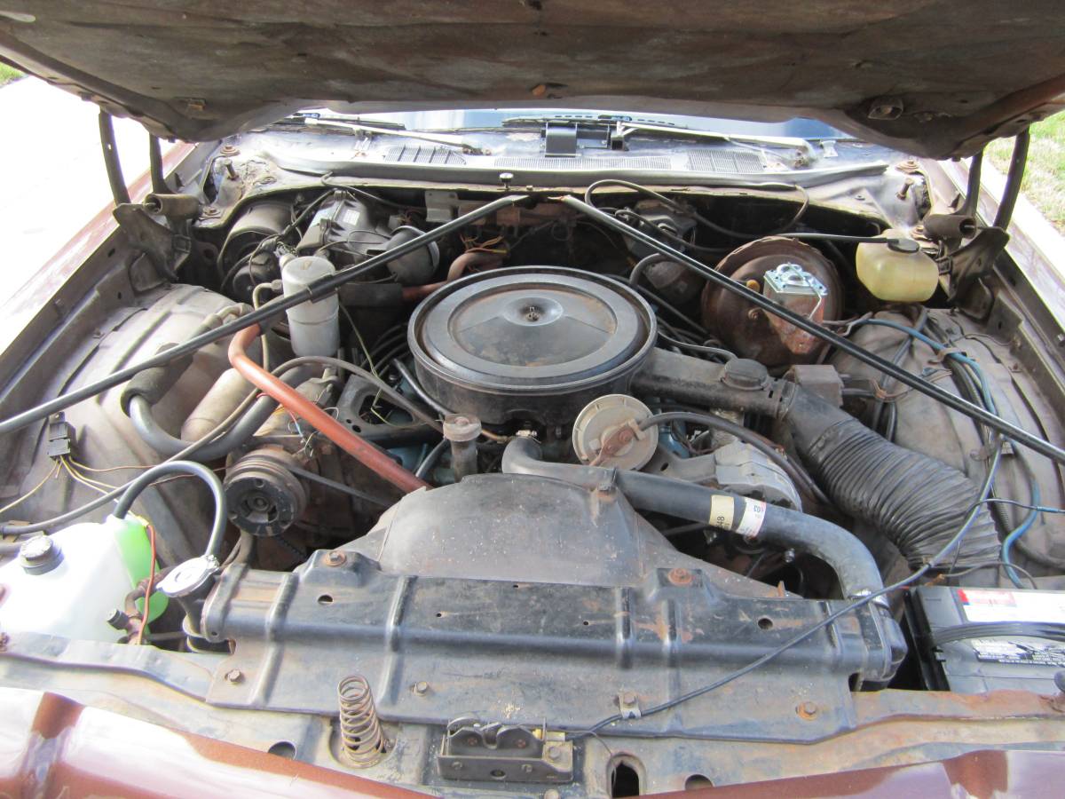 Oldsmobile-442-1977-brown-14