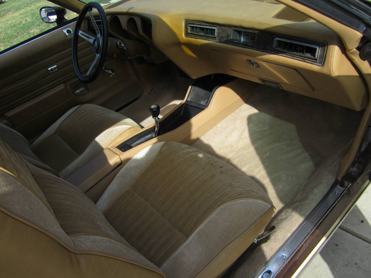 Oldsmobile-442-1977-brown-15
