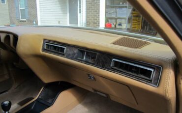 Oldsmobile-442-1977-brown-16