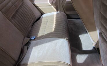 Oldsmobile-442-1977-brown-18