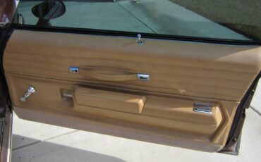 Oldsmobile-442-1977-brown-19