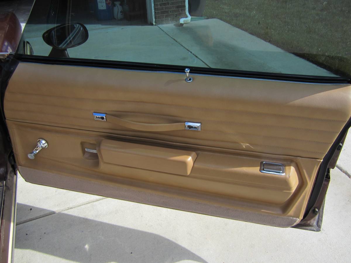 Oldsmobile-442-1977-brown-19
