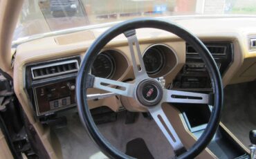 Oldsmobile-442-1977-brown-23
