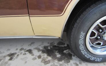 Oldsmobile-442-1977-brown-4