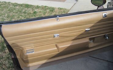 Oldsmobile-442-1977-brown-7