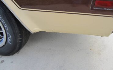 Oldsmobile-442-1977-brown-8