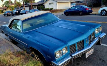 Oldsmobile-88-1974-blue-6