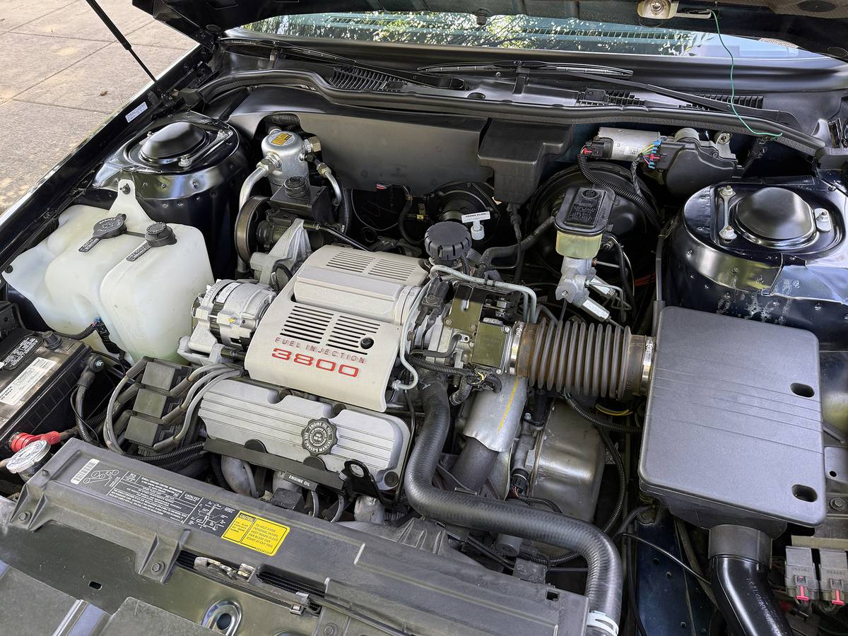 Oldsmobile-88-1990-blue-19