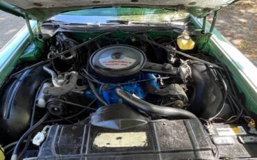 Oldsmobile-98-1973-GreenBlack-Vinyl-To-21