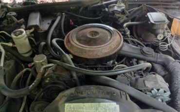 Oldsmobile-98-1984-grey-8