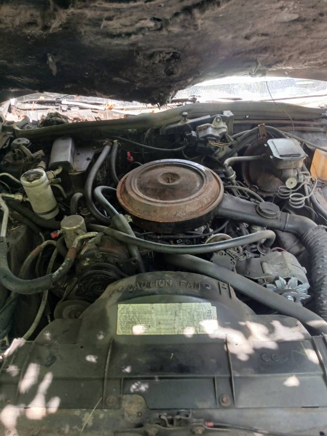 Oldsmobile-98-1984-grey-8