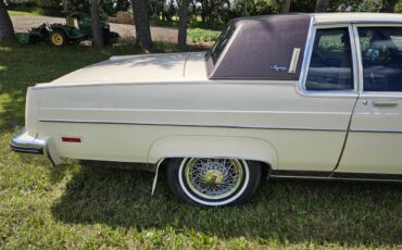 Oldsmobile-98-regency-1983-Beige-Cream-Chocolate-19