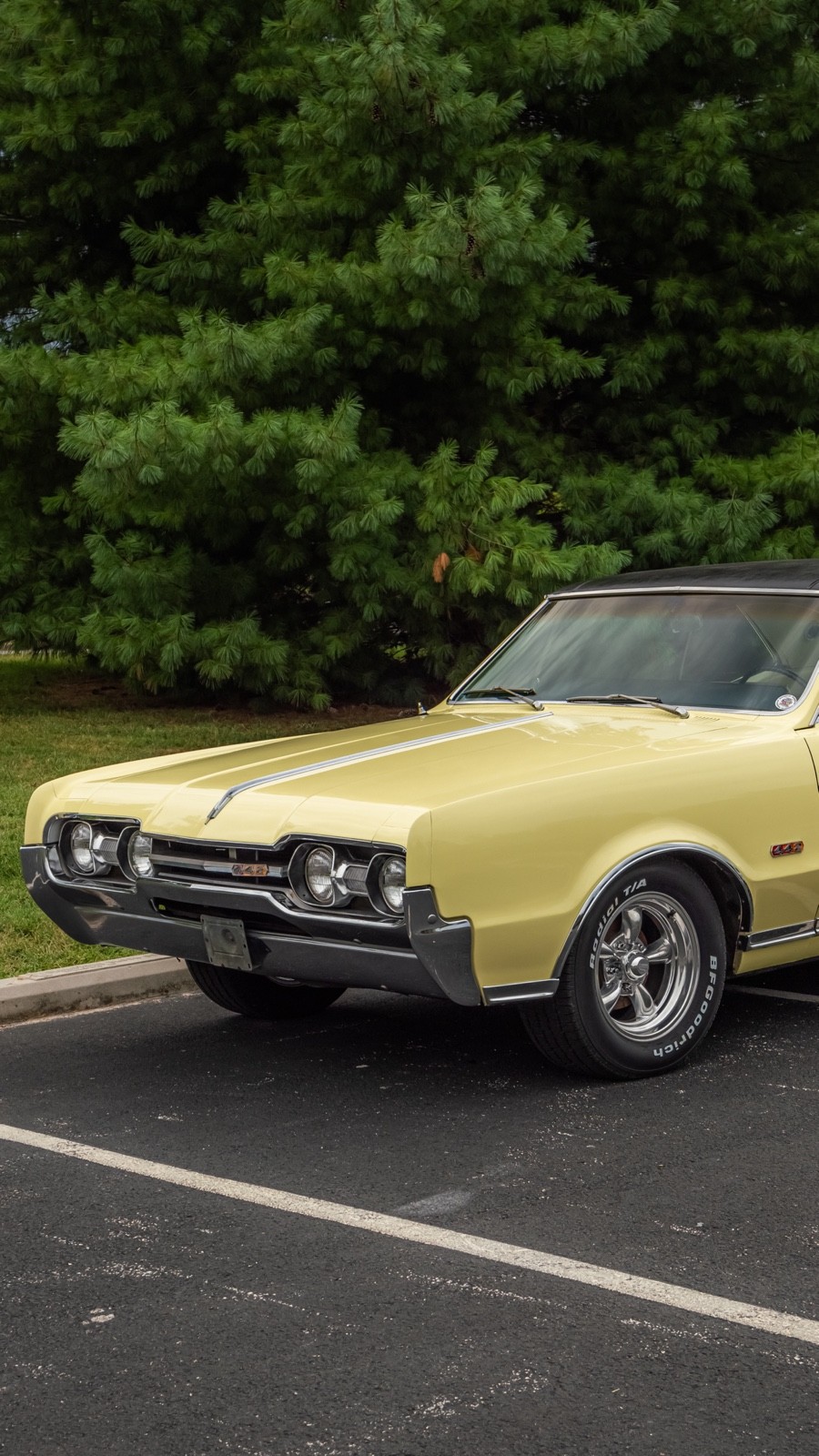 Oldsmobile-Cutlass-1967-Coupe-16