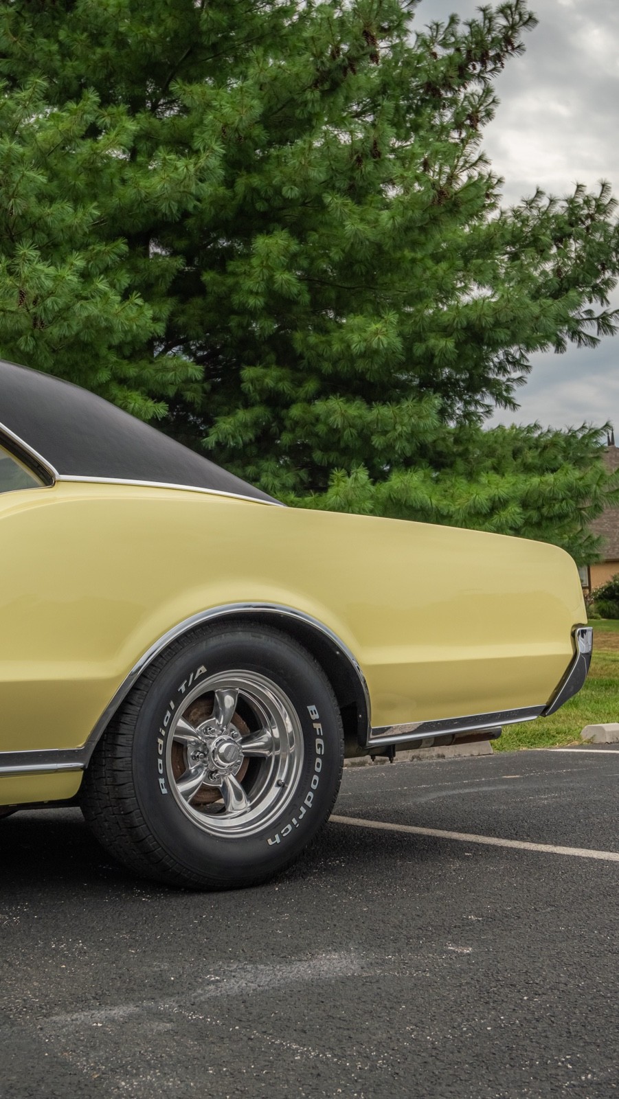 Oldsmobile-Cutlass-1967-Coupe-20