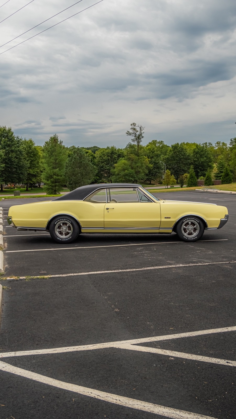 Oldsmobile-Cutlass-1967-Coupe-4