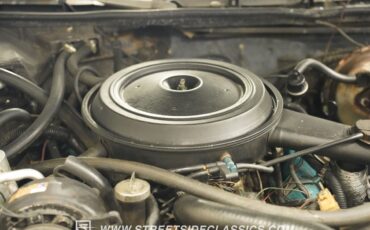 Oldsmobile-Cutlass-1981-Coupe-38