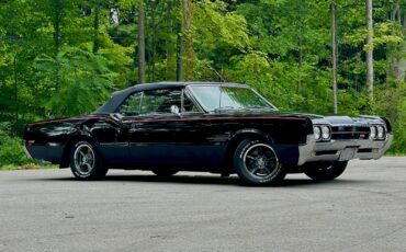 Oldsmobile-Cutlass-442-Convertible-1966-Convertible-442-Original-1