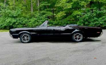 Oldsmobile-Cutlass-442-Convertible-1966-Convertible-442-Original-13