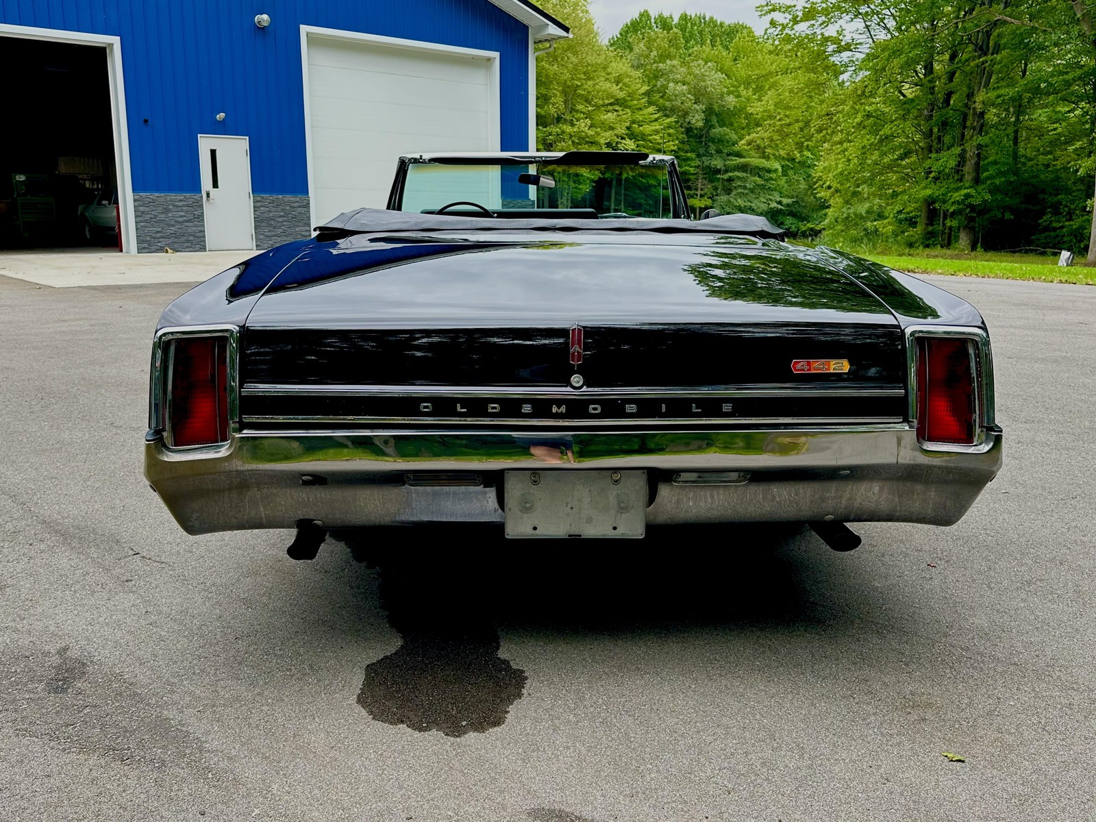 Oldsmobile-Cutlass-442-Convertible-1966-Convertible-442-Original-14