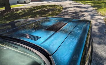 Oldsmobile-Cutlass-supreme-1971-Ocean-Gem-Black-41