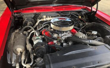 Oldsmobile-Delta-88-1966-Red-White-9